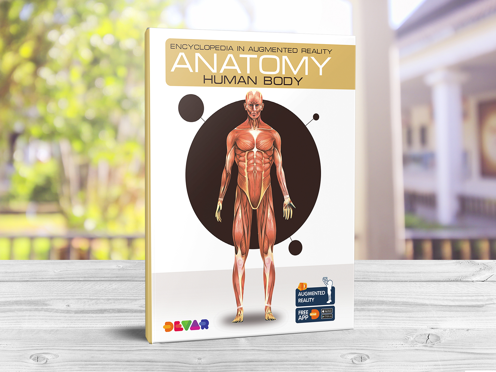 Anatomy: Human Body